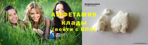ешки Болотное
