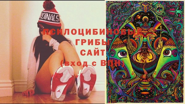 Альфа ПВП Навашино