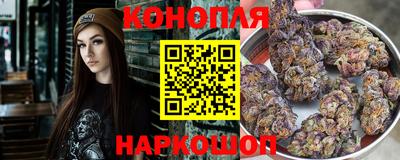 прущие крисы Бийск