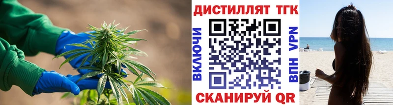ТГК Wax Петровск