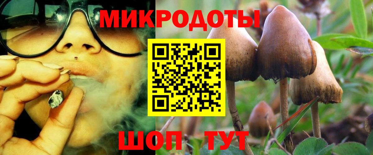 Галлюциногенные грибы MAGIC MUSHROOMS  Вход с VPN  как найти   Петровск 