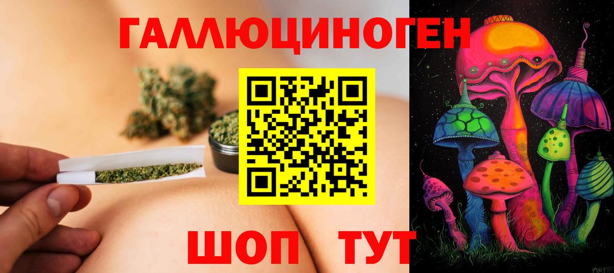 Галлюциногенные грибы GOLDEN TEACHER Петровск