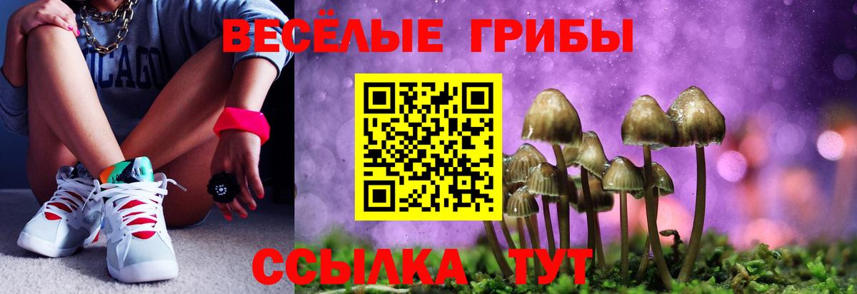 Псилоцибиновые грибы Psilocybine cubensis  как найти закладки  Петровск 