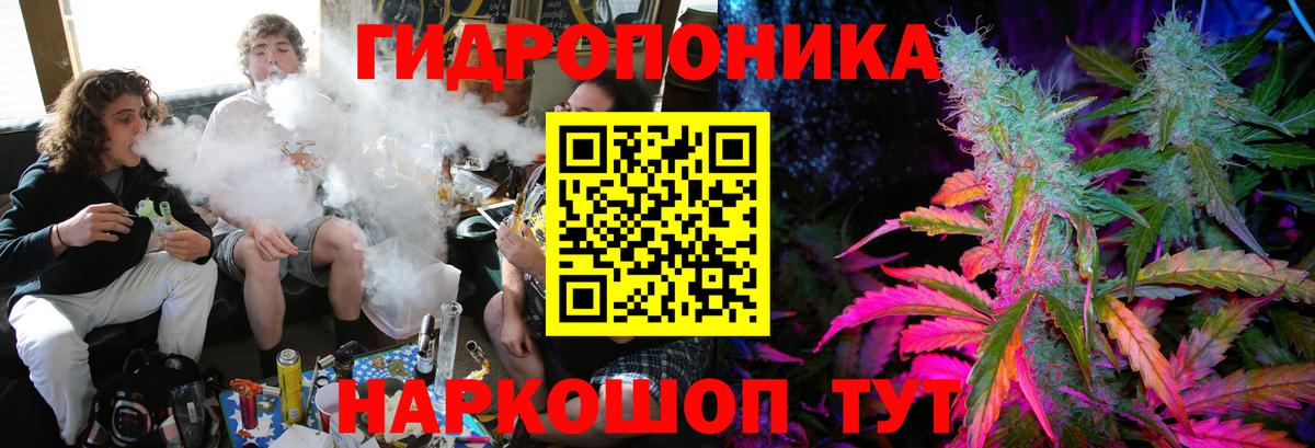 Каннабис конопля Петровск